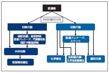 内科的治療 ｜胆道がん｜九州大学病院のがん診療｜九州大学病院 がん